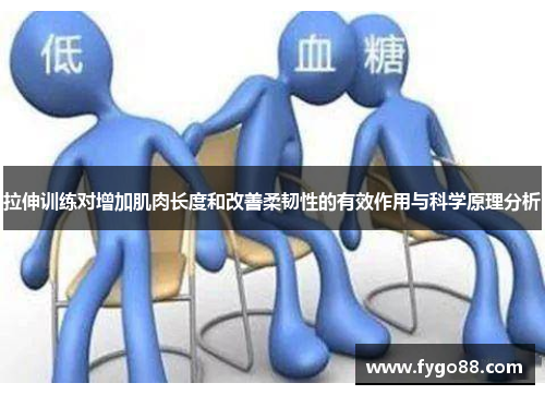 拉伸训练对增加肌肉长度和改善柔韧性的有效作用与科学原理分析
