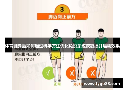 体育健身后如何通过科学方法优化免疫系统恢复提升运动效果